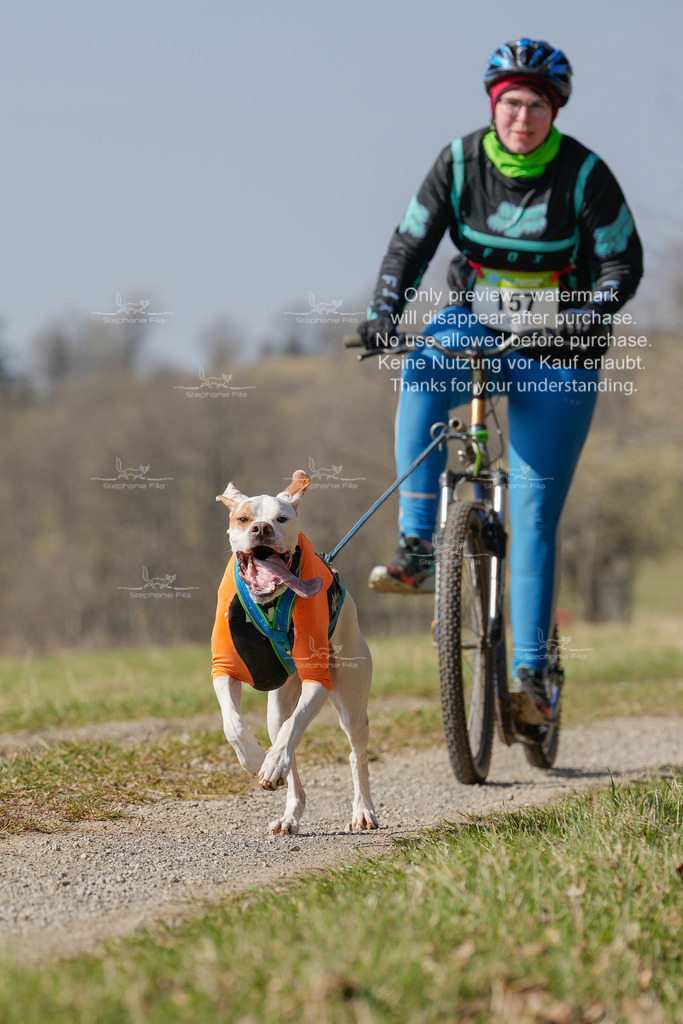 Scooter_Lang-119 | stephaniefillaphotographie - Realisiert mit Pictrs.com