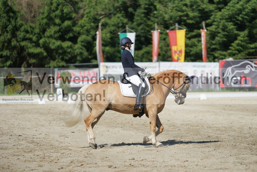 DSC02965 | equestrian-live-com