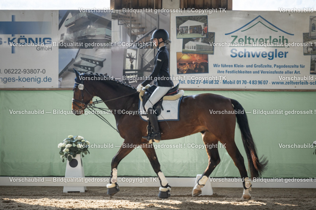 _D5A8700 | Emotionale Pferde- & People-Fotografie rund um Heidelberg, Leimen & Umgebung. Natürliche Fotos von Pferd, Mensch & Familie. Jetzt Termin sichern!