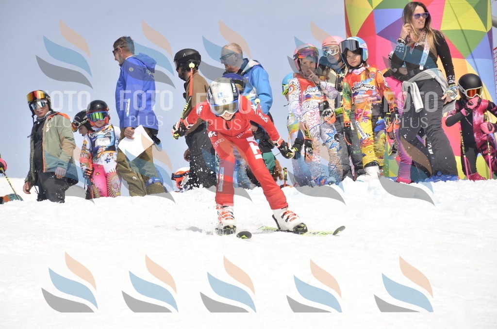 _ELE8838 | holidayphoto