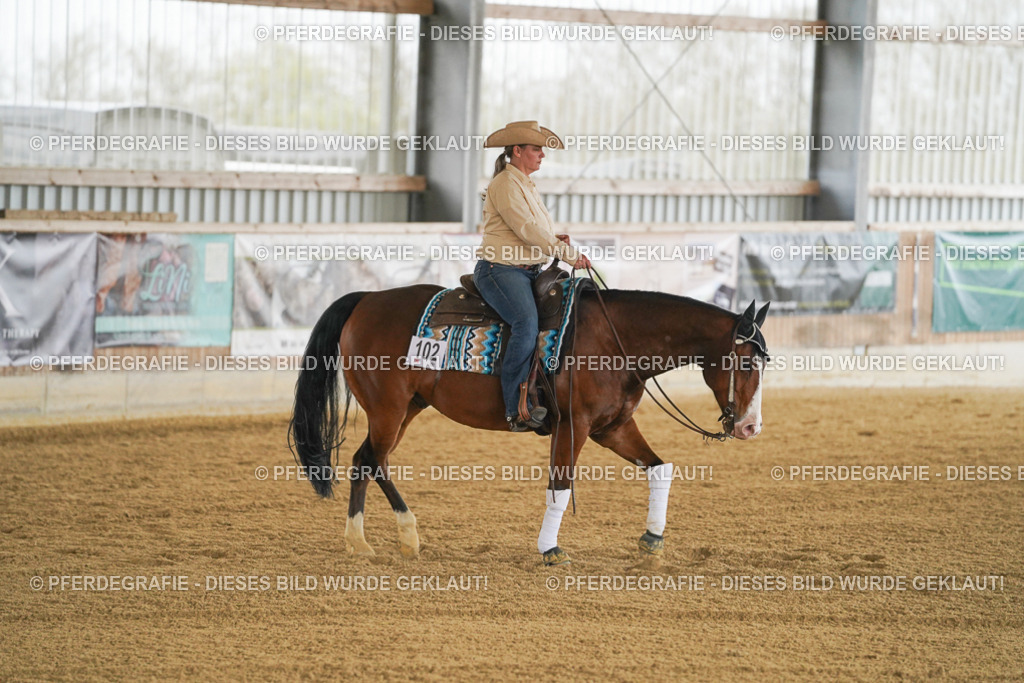 DSC07050 | Pferdegrafie