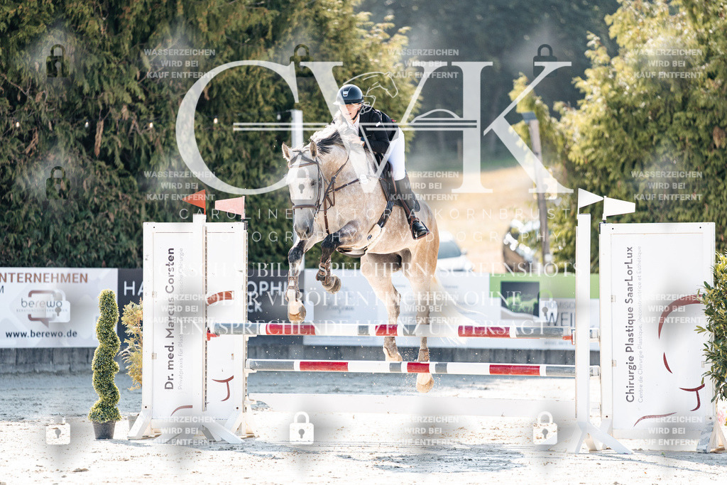 CK907617 | Turnierfotografie Pferdefotografie Trier Rheinland-Pfalz Pferdesport Reitsport Tierfotografie Sportfotografie Pferdevideo Pferdevideografie Equestrianvideography equestrianphotography  - Realisiert mit Pictrs.com