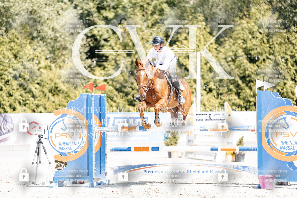 CK900700 | Turnierfotografie Pferdefotografie Trier Rheinland-Pfalz Pferdesport Reitsport Tierfotografie Sportfotografie Pferdevideo Pferdevideografie Equestrianvideography equestrianphotography  - Realisiert mit Pictrs.com