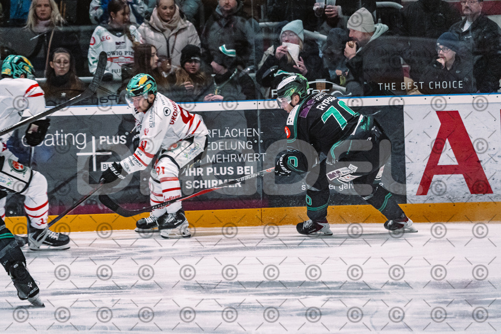 Alligators_vs_Toelz_15_02_2026-04 | Höchstadt Alligators Fotogalerie: Eishockey-Action aus Franken. Professionelle Spielfotos, Portraits & Stadionbilder zum Download. Jetzt entdecken! - Realisiert mit Pictrs.com
