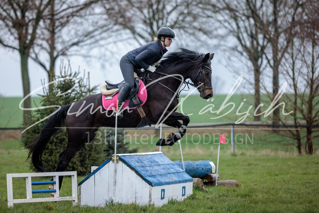 20260329-_3LI4178 | Tierfotografie Pferde, Hunde, Katzen, Haustiere.
Turnierfotografie Reitturniere, Reiten, Springreiten, Dressur in Hanau, dem Main-Kinzig-Kreis und dem Rhein-Main- Gebiet um Frankfurt