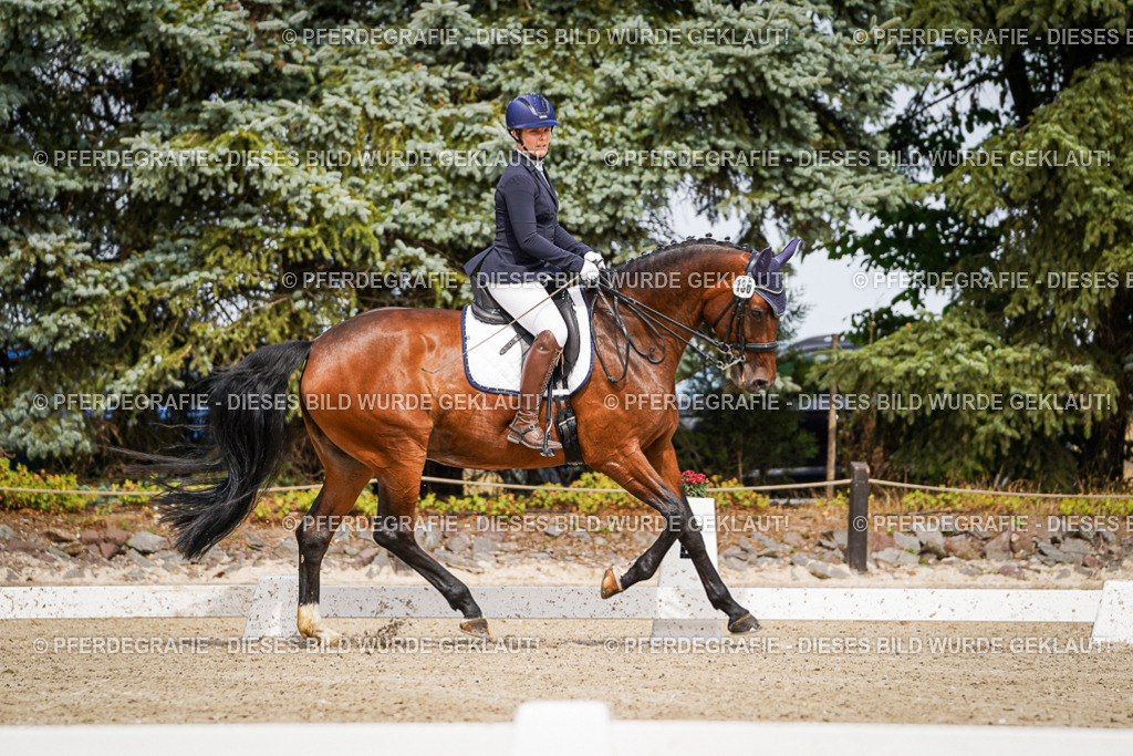 DSC05240 | Pferdegrafie