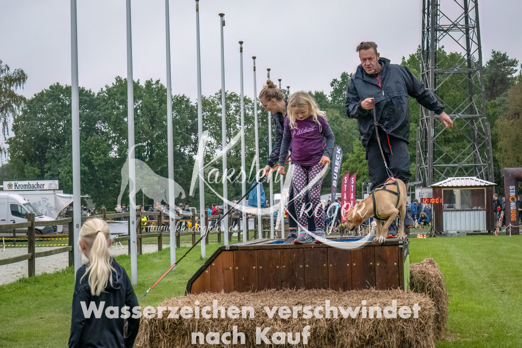 1211--8 | kk-dogfotos