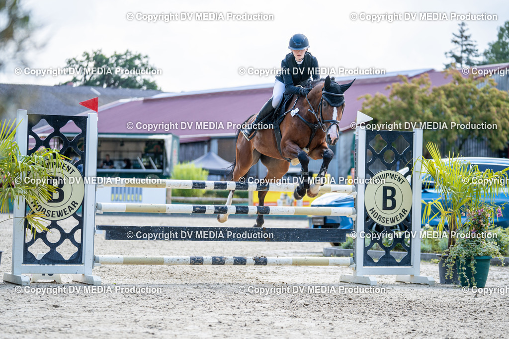 Hessische Tag 1-252 | dv-media-shop - Realisiert mit Pictrs.com