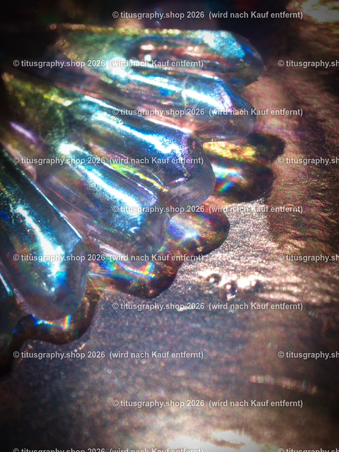 P5146269-b | Fotokunstarbeit aus der INSTAGRAM-Gallerie auf titusgraphy.eu - Realisiert mit Pictrs.com