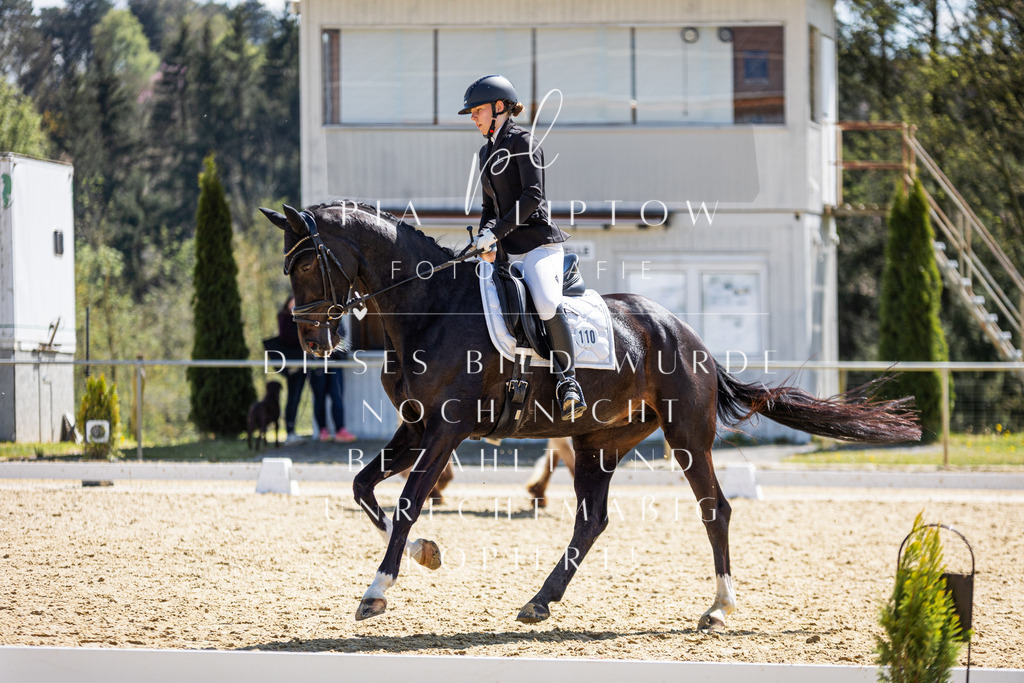 IMGT2033 | pl-fotografie