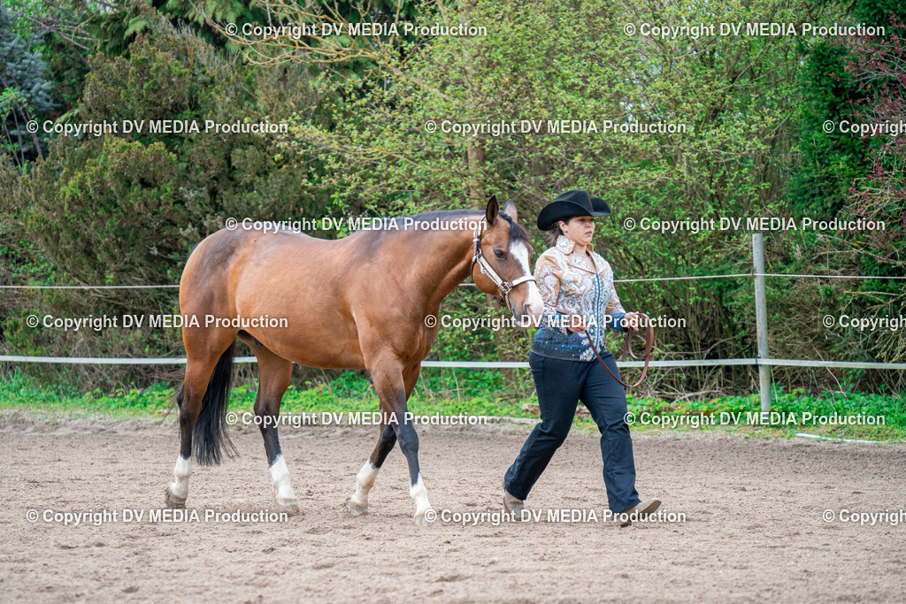 BA300229 | dv-media-shop - Realisiert mit Pictrs.com