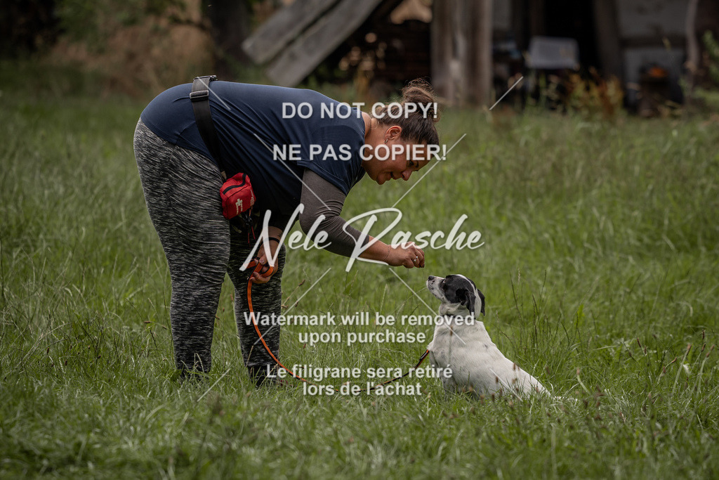 nelerasche_DoN_84 | nelerasche