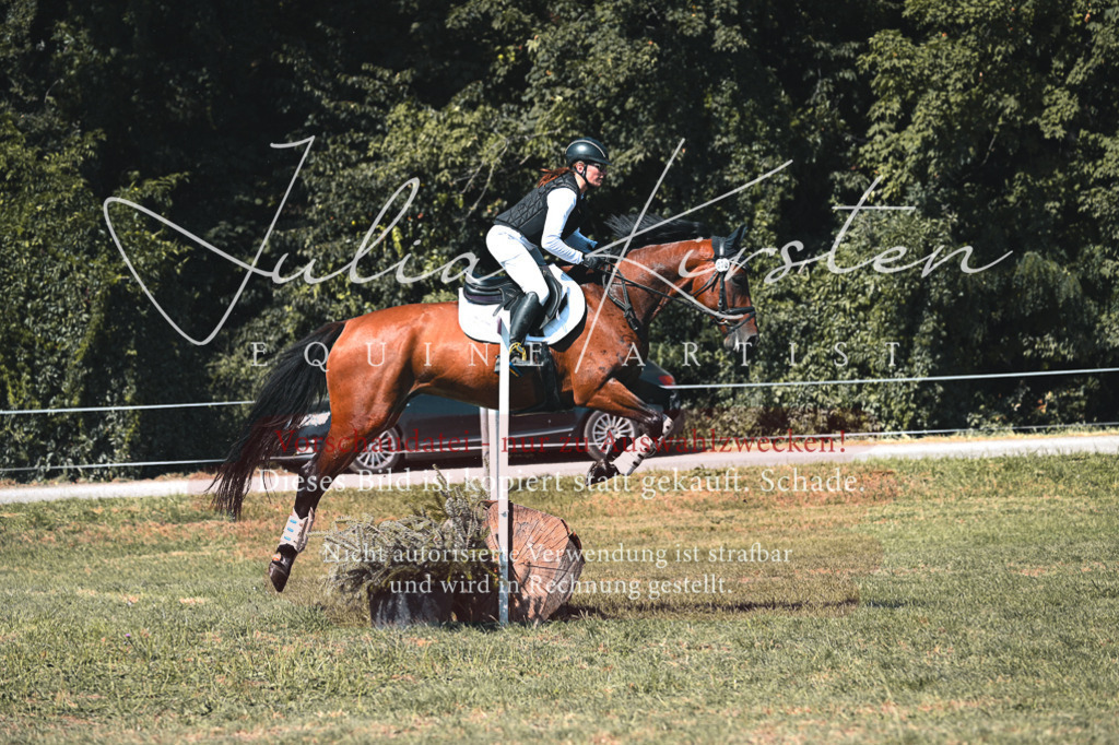 DSC_8303 | Pferde- und Turnierfotografie in Westsachsen. Pferdeportraits, Auftragszeichnungen und intuitive Kunst.