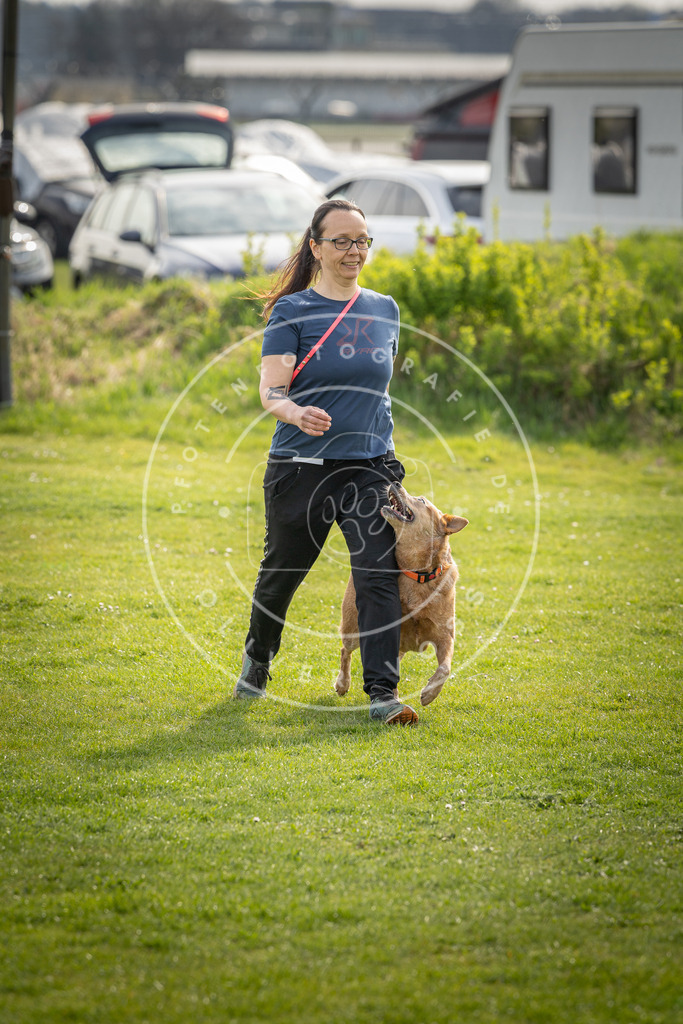 Pfotenfotografie_DV3A4980 | Hundefotografie, Tierfotograf, Pfotenfotografie, Fotoshooting Hund, Hunde Portrait, Hundesport, Hundeportraits, Heideshooting, Hunde, Sportfotograf, Hundefotograf, Turnierhundsport, THS,  - Realisiert mit Pictrs.com