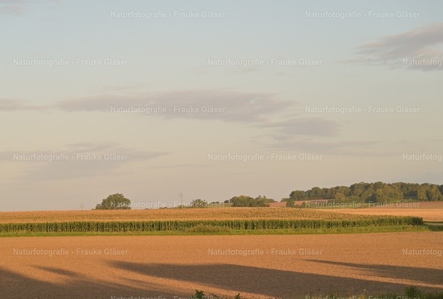Schatten (2) | Naturfotografie Frauke Gläser - Realisiert mit Pictrs.com