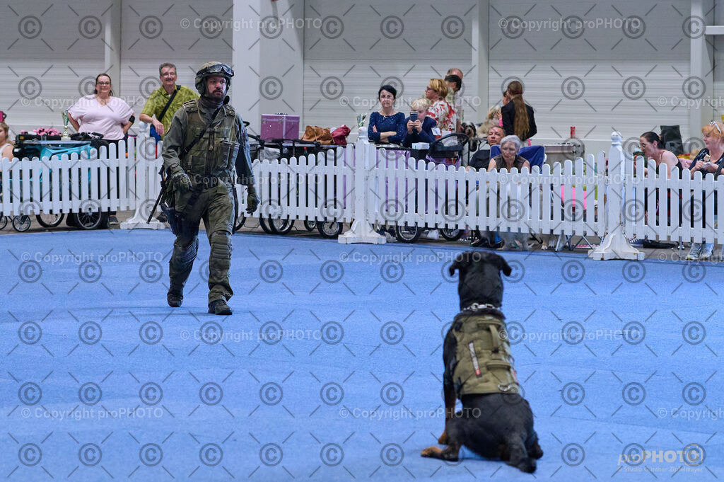 202406_ÖKV-IHA-Tulln24_DSC_3558 | proPHOTO - Realisiert mit Pictrs.com