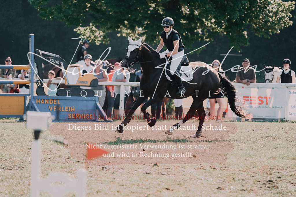 DSC_4825 | Pferde- und Turnierfotografie in Westsachsen. Pferdeportraits, Auftragszeichnungen und intuitive Kunst.