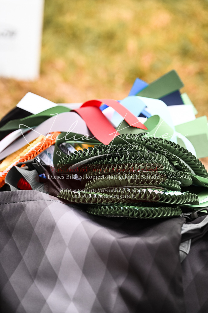 DSC_9321 | Pferde- und Turnierfotografie in Westsachsen. Pferdeportraits, Auftragszeichnungen und intuitive Kunst.