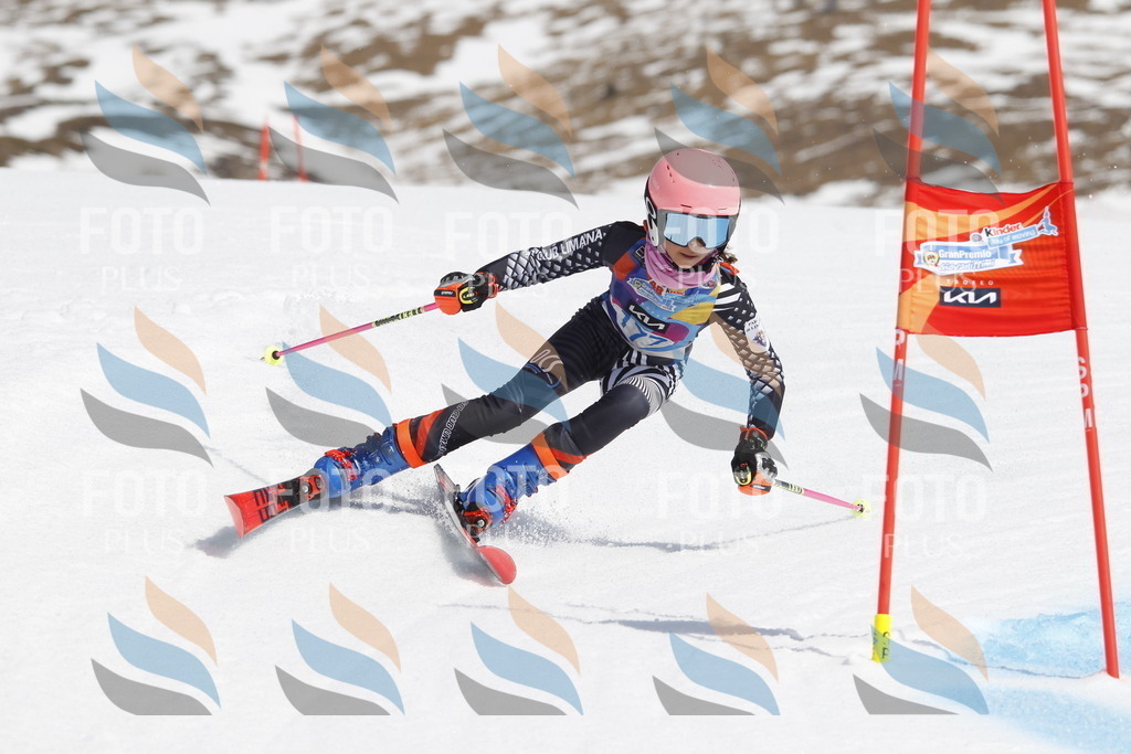 _U3G1685 | holidayphoto