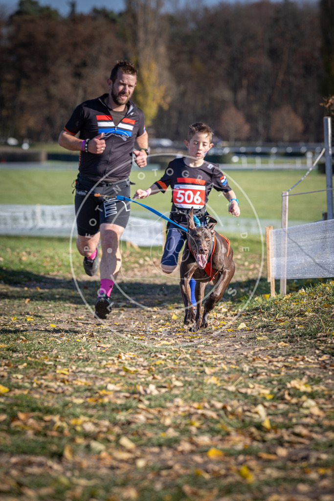 CaniXpix_DV3A7892 | Hundefotografie, Tierfotograf, Pfotenfotografie, Fotoshooting Hund, Hunde Portrait, Hundesport, Hundeportraits, Heideshooting, Hunde, Sportfotograf, Hundefotograf, Turnierhundsport, THS,  - Realisiert mit Pictrs.com