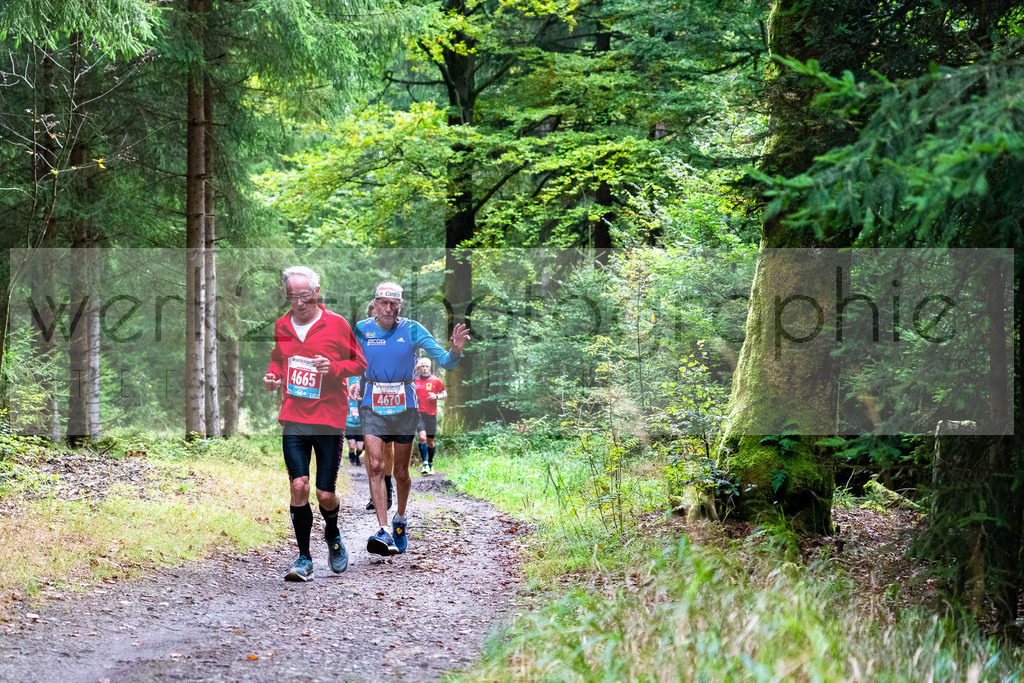 Rennsteiglauf 2021 | Marathon Neuhaus/Rwg. - Schmiedefeld