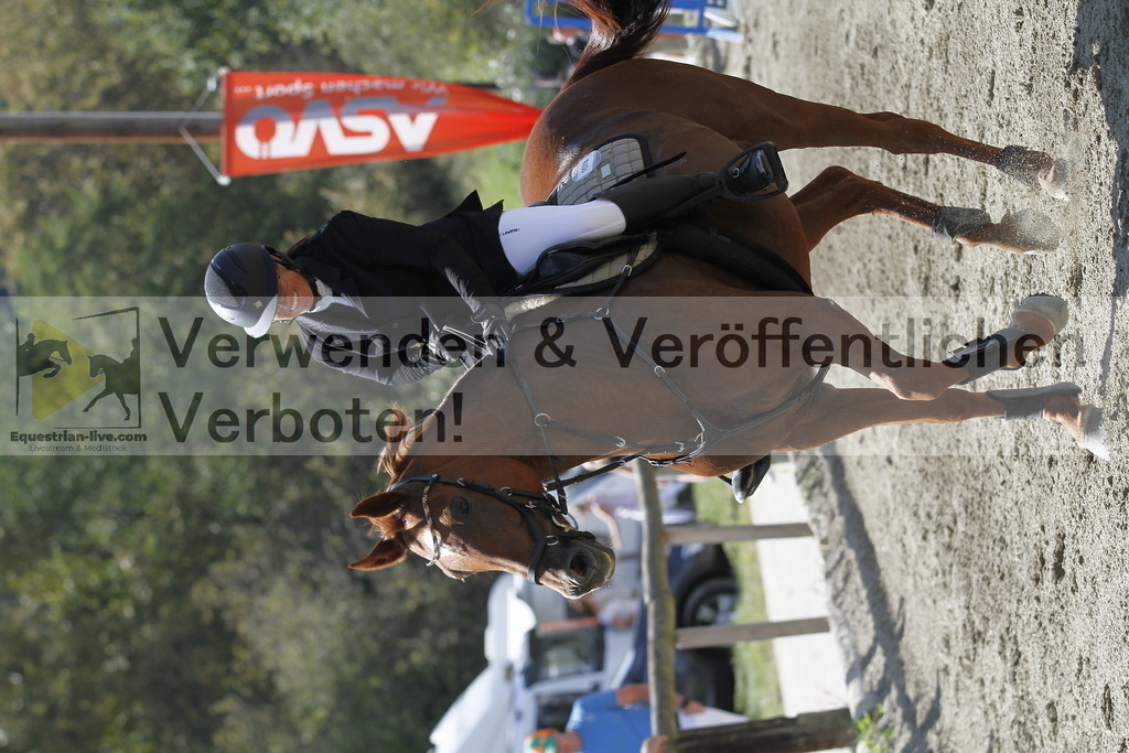 _MG_6627 | equestrian-live-com