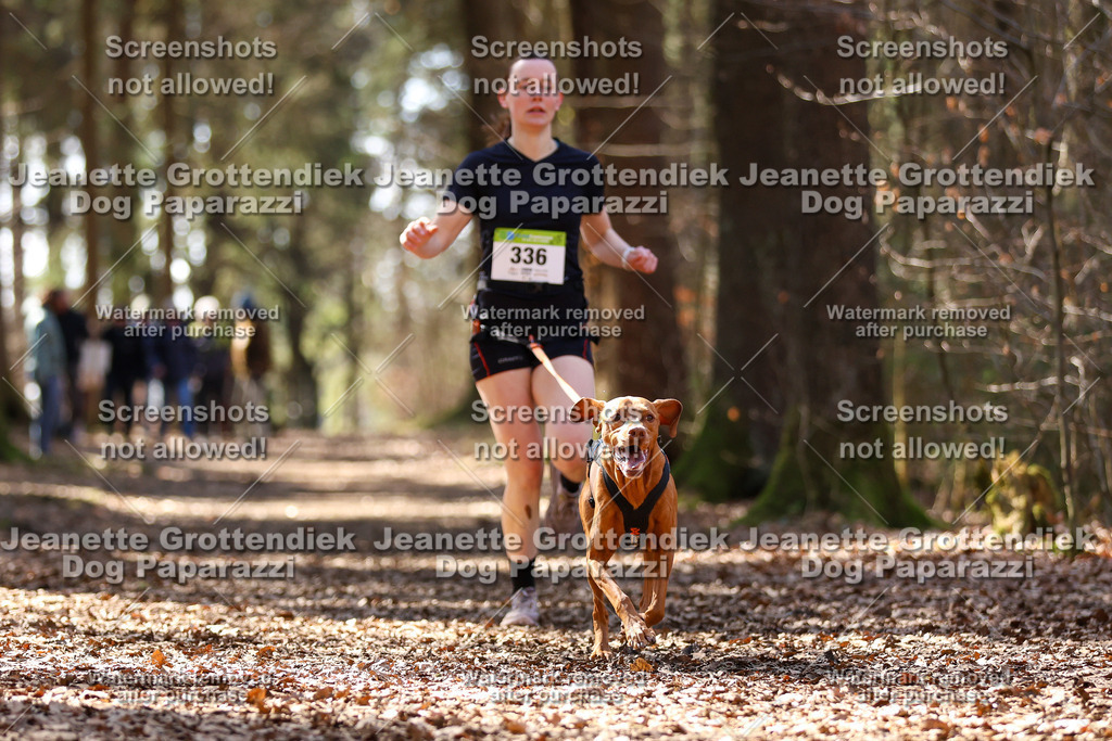 Dog Paparazzi - VCC26-1319 | Dog Paparazzi Jeanette Grottendiek Fotografie & Videografie - Realisiert mit Pictrs.com