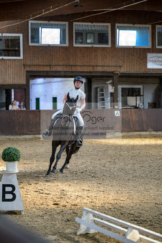 Reitturnier Voxtrup | Entdecke hochwertige Reitturnierfotos von Foto Oger. Professionell, emotional und authentisch – jetzt Lieblingsmomente im Shop bestellen.Deutschlandweite Turnierfotografie. - Realisiert mit Pictrs.com