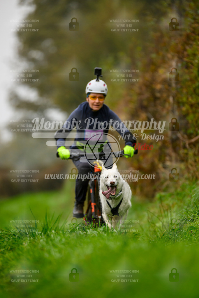 MompixPhotography_20TSB_E8_Bike-51 | PayLife