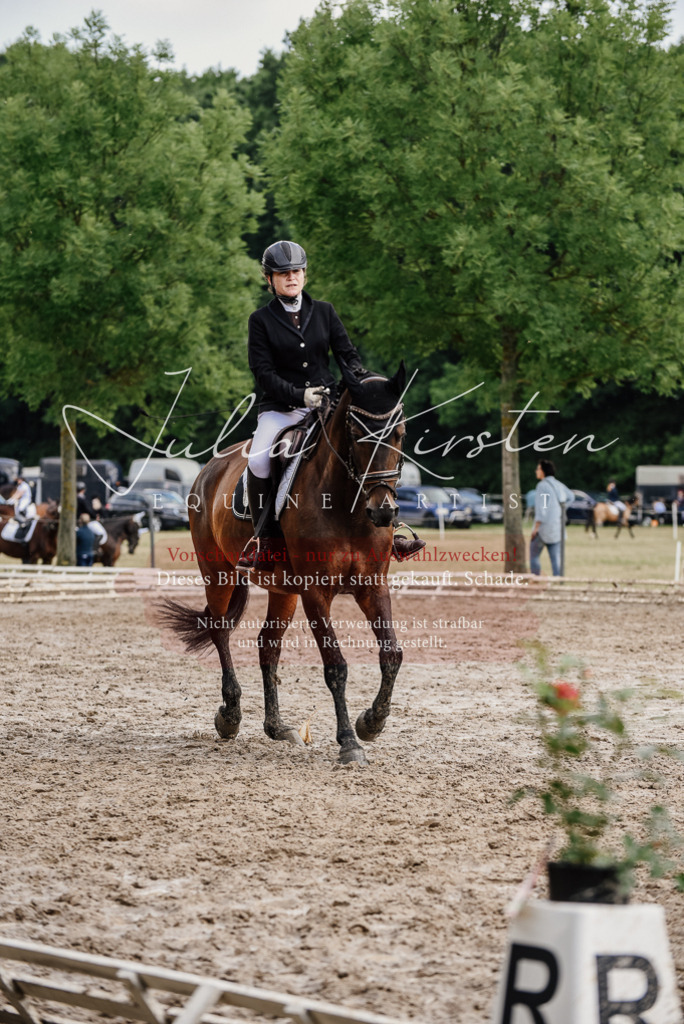 DSC_0771 | Pferde- und Turnierfotografie in Westsachsen. Pferdeportraits, Auftragszeichnungen und intuitive Kunst.