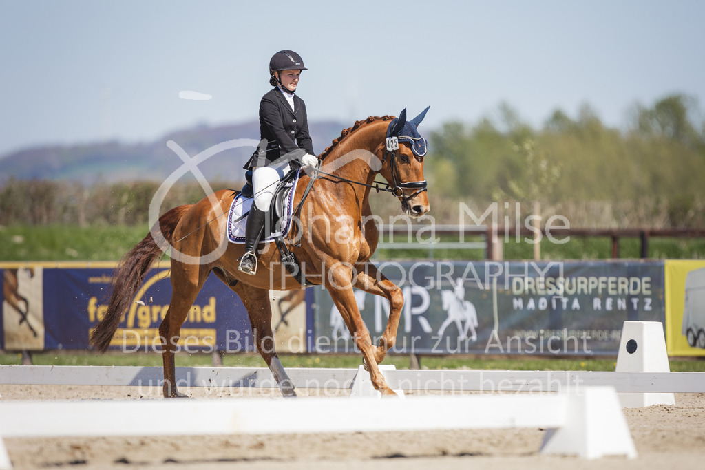 220418_L-Dressur-270 | Frühlingsfest der Pferde
Herford
18.April 2022
Dressurprfg. Kl.L* - Tr. L2ausw. geschlossen