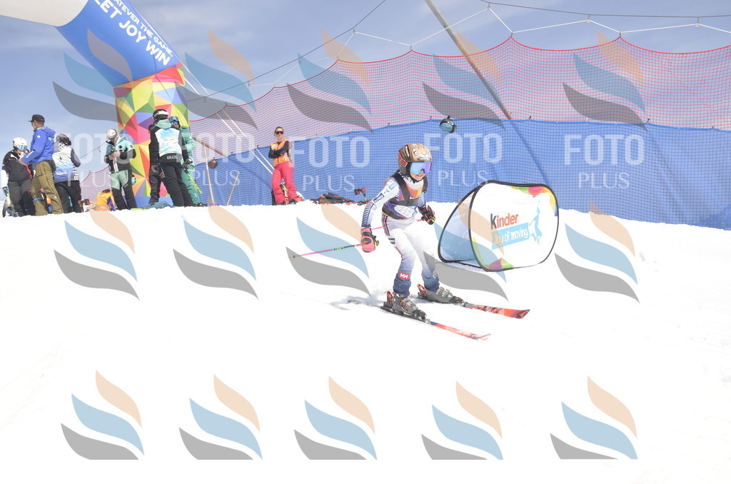 _ELE9487 | holidayphoto