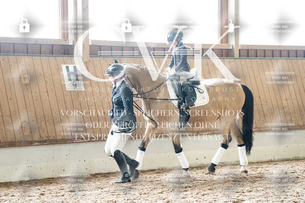 CK901812 | Turnierfotografie Pferdefotografie Trier Rheinland-Pfalz Pferdesport Reitsport Tierfotografie Sportfotografie Pferdevideo Pferdevideografie Equestrianvideography equestrianphotography  - Realized with Pictrs.com