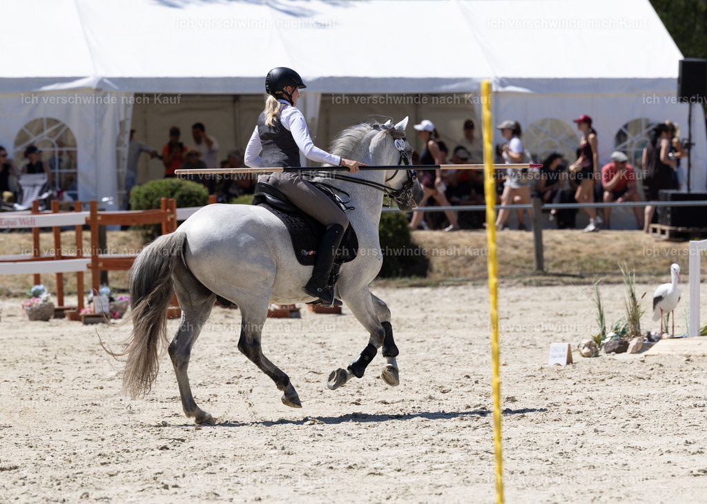 WM_Speed_83_KerstinBernhardt-11 | working equitationturnier fotograf videograf stoibphotography marixx film working equitation deutschland reitsport turnierfotografie eventfotografie equestrian events