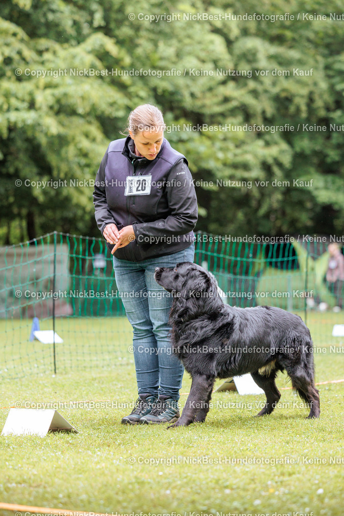 RO-Blumenthal-2026-Nickbest-Hundefotografie-4662 | Dein Hund! Dein Moment! Deine Erinnerungen! Hundefotografie in Bremen Blumenthal. Ich fange die besonderen Momente deines Vierbeiners ein – ob Indoor mit Blitzanlage oder in der freien Natur. Sicher dir dein Moment und dein Termin für eure Erinnerungen.