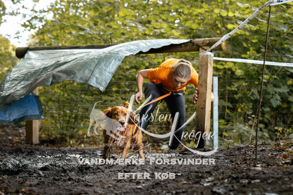 1415DZ6_1287Z6 | kk-dogfotos