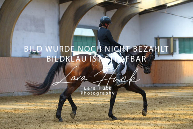 DKP45083 | larahueckfotografie