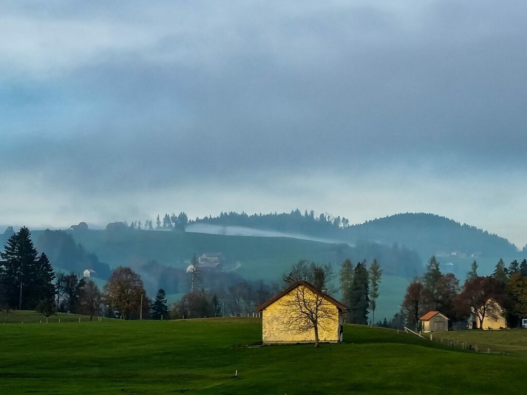 PSX_20221111_234537 | mtkfoto_ - Realisiert mit Pictrs.com