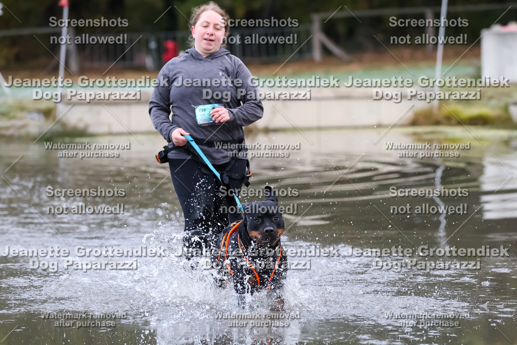 Dog Paparazzi - Strongdog 10-25-6079 | Dog Paparazzi Jeanette Grottendiek Fotografie & Videografie - Realisiert mit Pictrs.com