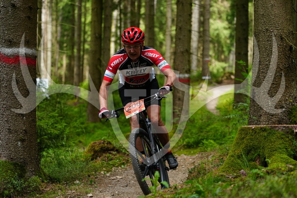 FC100522 | Fotogalerie der Treibjagd im Dunkelwald - Dein MTB Etappenrennen im Erzgebirge - Realisiert mit Pictrs.com
