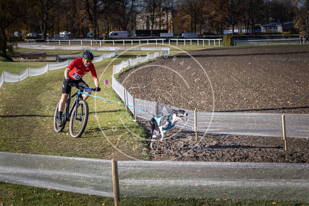 CaniXpix_DV3A5796 | Hundefotografie, Tierfotograf, Pfotenfotografie, Fotoshooting Hund, Hunde Portrait, Hundesport, Hundeportraits, Heideshooting, Hunde, Sportfotograf, Hundefotograf, Turnierhundsport, THS,  - Realisiert mit Pictrs.com