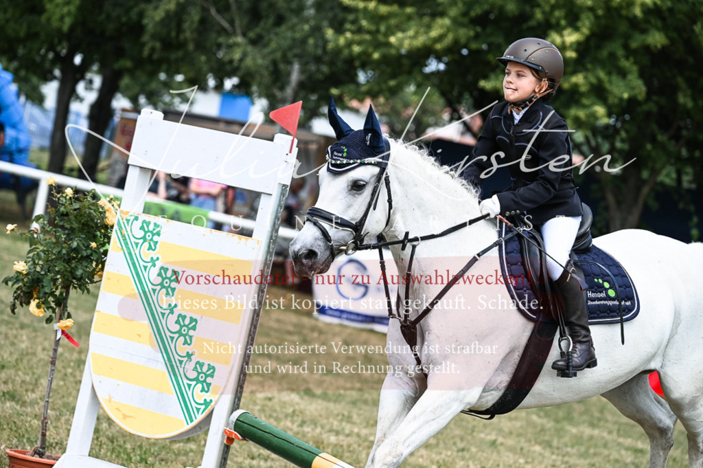 DSC_9622 | Pferde- und Turnierfotografie in Westsachsen. Pferdeportraits, Auftragszeichnungen und intuitive Kunst.