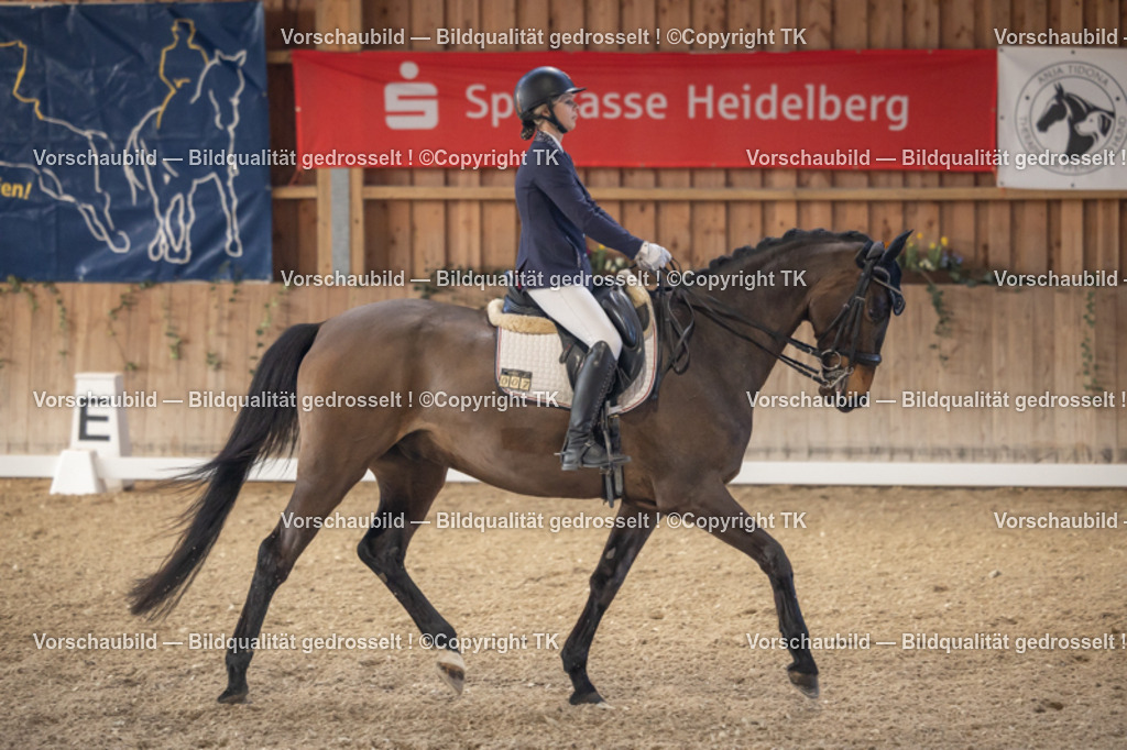 _D5A2655 | Emotionale Pferde- & People-Fotografie rund um Heidelberg, Leimen & Umgebung. Natürliche Fotos von Pferd, Mensch & Familie. Jetzt Termin sichern!