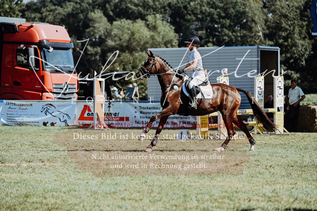 DSC_6754 | Pferde- und Turnierfotografie in Westsachsen. Pferdeportraits, Auftragszeichnungen und intuitive Kunst.