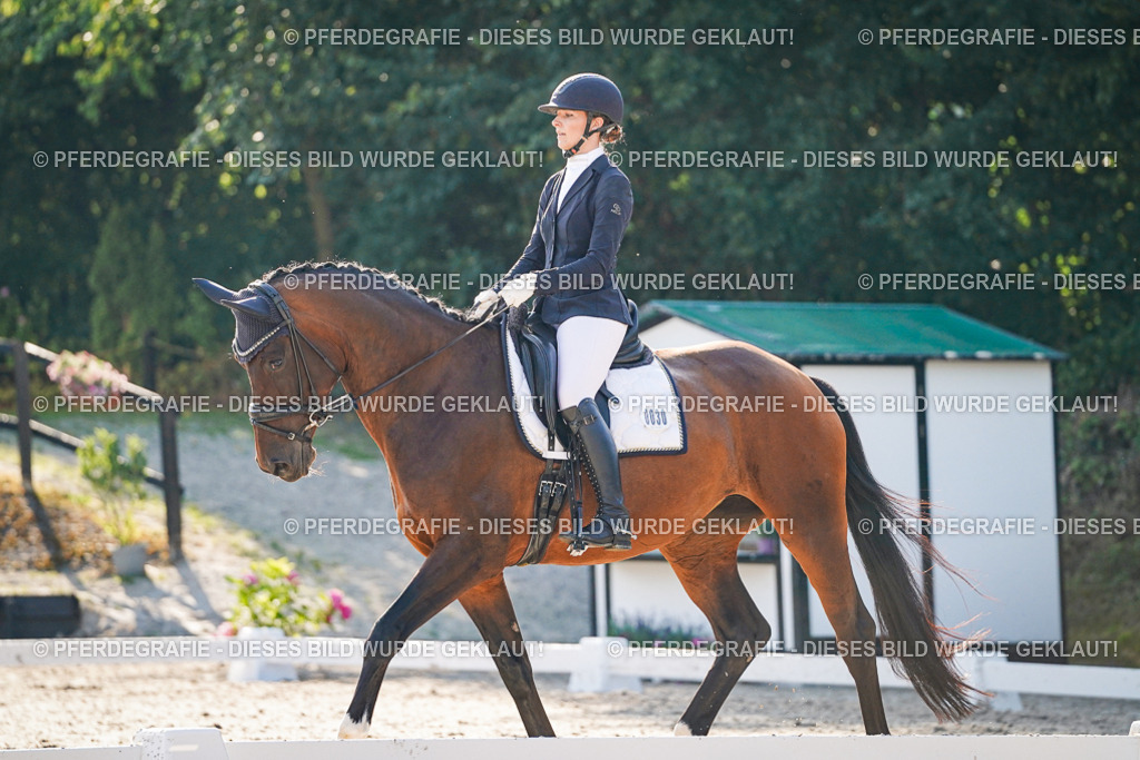 DSC08821 | Pferdegrafie