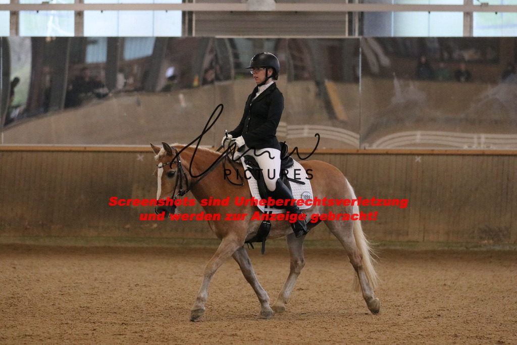 IMG_3489 | lmwpictures - Realisiert mit Pictrs.com