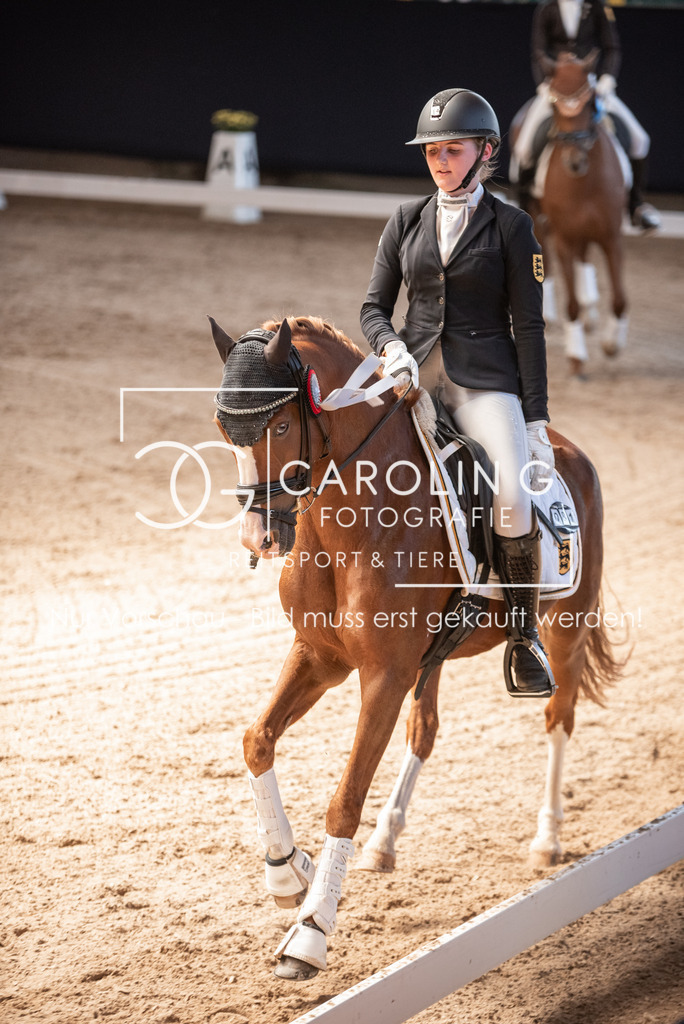 DSC_3515 | Carolin Gieschke