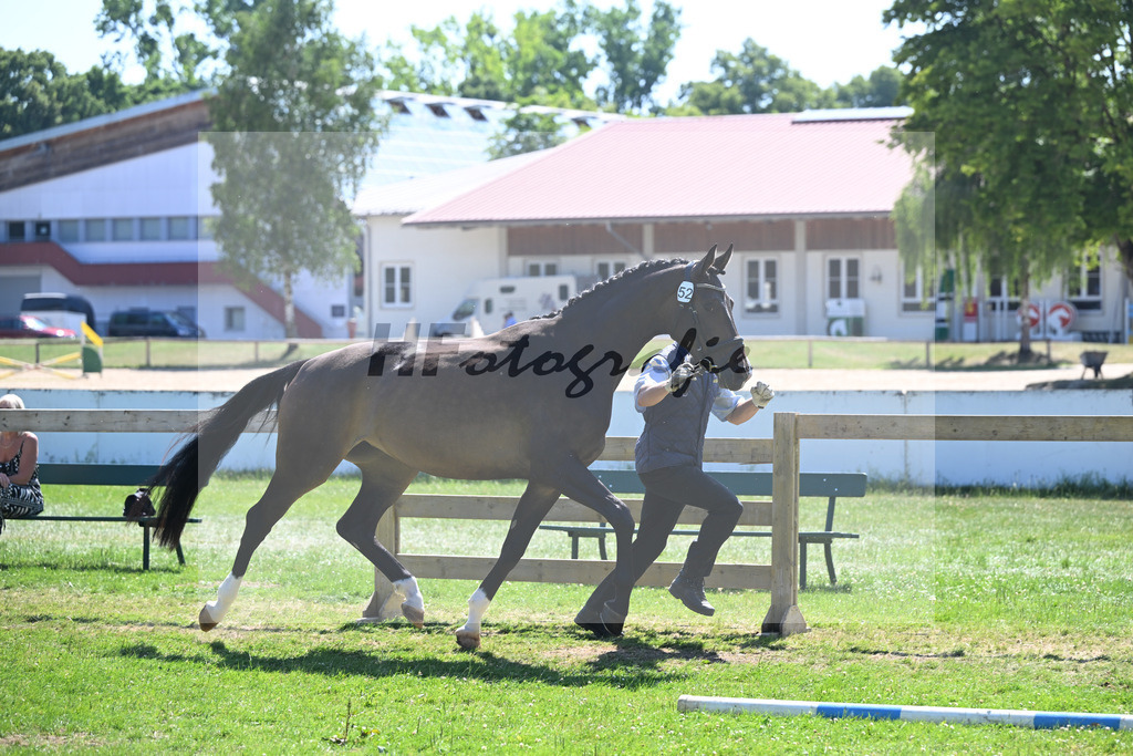 Kat-Nr. 52 Alegra v. Scalatore_HLG Schwaiganger_19250982 | hf-fotografie - Realizzato con Pictrs.com