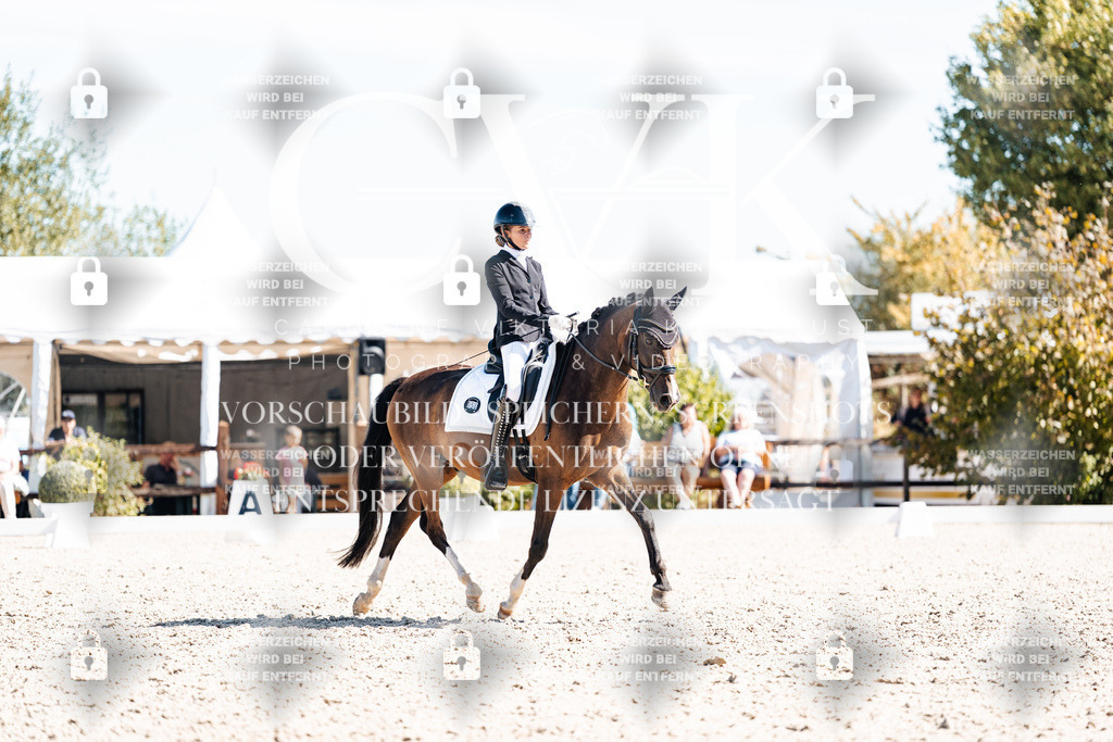 CK909626 | Turnierfotografie Pferdefotografie Trier Rheinland-Pfalz Pferdesport Reitsport Tierfotografie Sportfotografie Pferdevideo Pferdevideografie Equestrianvideography equestrianphotography  - Realisiert mit Pictrs.com