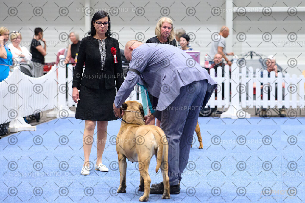 202406_ÖKV-IHA-Tulln24_DSC_2941 | proPHOTO - Realisiert mit Pictrs.com